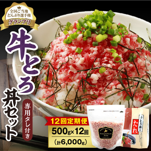 【12回定期便】人気の牛とろ丼セット 500g 専用タレ付き【定期便 牛とろ丼 セット 牛とろフレーク 25人前 500g 専用タレ付き ぎゅうとろ 牛肉 牛トロ フレーク 25食分 ご飯にかけるだけ】_S006-0071