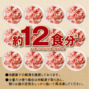 ”生産者応援！”今ならハンバーグ付！十勝雪晴れ豚 切り落とし 3kg 豚肉 切り落とし_S003-0030