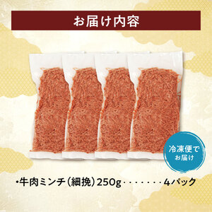訳あり牛肉100%ミンチ!北海道産牛ひき肉1kg! (250g×4パック)_S006-0059