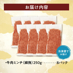 訳あり牛肉100%粗挽きミンチ!北海道産牛ひき肉2kg! (250g×8パック)_S006-0053