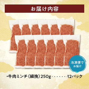 訳あり牛肉100%粗挽きミンチ!北海道産牛ひき肉3kg! (250g×12パック)_S006-0054