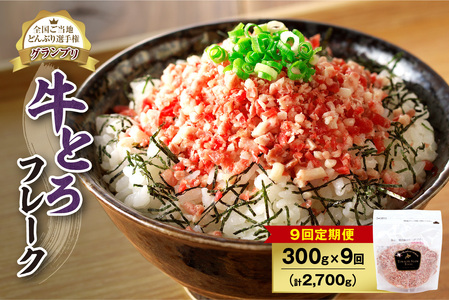 【9回定期便】人気の牛とろフレーク 300g【定期便 牛とろ丼 セット 牛とろフレーク 15人前 300g ぎゅうとろ 牛肉 牛トロ フレーク 15食分 ご飯にかけるだけ】_S006-0134
