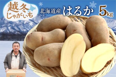 2026年発送分先行受付！低温貯蔵！ホクホク あま～い！北海道産越冬じゃがいも はるか 約5kg _S041-0009