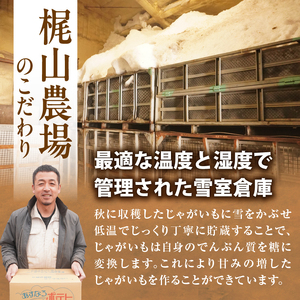 2026年発送分先行受付！低温貯蔵！ホクホク あま～い！北海道産越冬じゃがいも はるか 約5kg _S041-0009