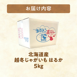 2026年発送分先行受付！低温貯蔵！ホクホク あま～い！北海道産越冬じゃがいも はるか 約5kg _S041-0009