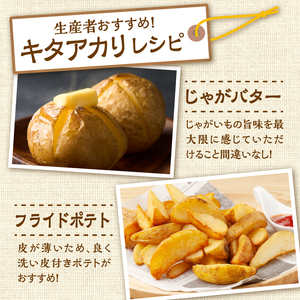 2026年発送分先行受付！低温貯蔵！ホクホク あま～い！ 北海道産 越冬じゃがいも キタアカリ 約5kg _S041-0003