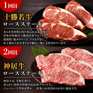 十勝若牛・神居牛 の ステーキ 食べ比べ 2回定期便 【特別な日の食卓に 焼くだけ ステーキ ブランド牛 十勝若牛 神居牛 牛肉 2回 定期便】_S999-0016