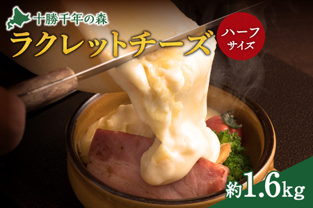 キサラファームチーズ工房のラクレット チーズハーフサイズ ！ 【ドリア グラタン パンに乗せて！食べ方様々、ラクレット約1.6㎏をお届け 乳製品 カルボナーラ フランスパン パスタ グラタン ドリア おつまみ お取り寄せ 北海道 清水町】_S002-0005