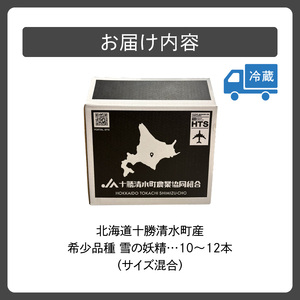 【希少品種】 白いとうもろこし「雪の妖精」 サイズ混合 10～12本 とうきび 産地直送_S021-0017