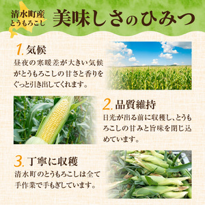 【黄金の甘さ】 ゴールドラッシュ！サイズ混合 10～12本 北海道産とうもろこし _S021-0019