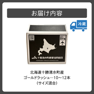 【黄金の甘さ】 ゴールドラッシュ！サイズ混合 10～12本 北海道産とうもろこし _S021-0019