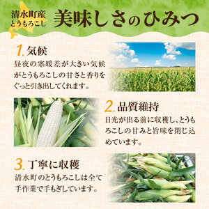 【2026年8月～発送開始！】北海道十勝清水町産 白いとうもろこし ホワイトショコラ サイズ混合 10～12本 北海道産とうきび _S021-0018