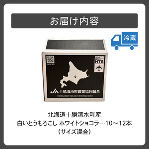 【2026年8月～発送開始！】北海道十勝清水町産 白いとうもろこし ホワイトショコラ サイズ混合 10～12本 北海道産とうきび _S021-0018