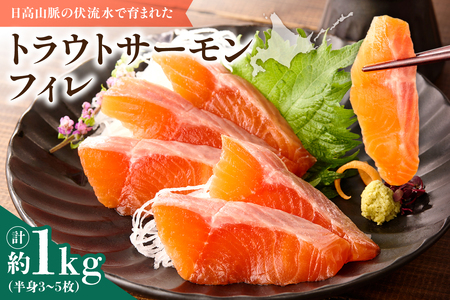 トラウトサーモンフィレ 1kg(半身3~5枚) フライやムニエル、お刺身や手巻き寿司まで！活用方法いろいろ！魚 魚介類 刺身 小分け 冷凍 鮭 さけ 海鮮 トラウト サーモン_S042-0002