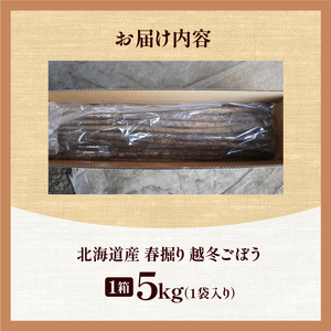 北海道十勝清水町産 越冬ごぼう 5kg【2026年春発送予定】牛蒡 ゴボウ