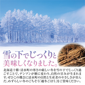 北海道十勝清水町産 越冬ごぼう 10kg【2026年春発送予定】牛蒡 ゴボウ