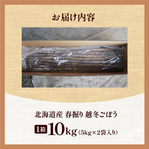 北海道十勝清水町産 越冬ごぼう 10kg【2026年春発送予定】牛蒡 ゴボウ