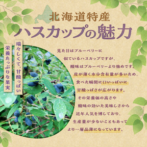 【令和６年産　先行受付】とかちしみず フルーツガーデン の ハスカップ 1kg 【 500g × 2 生 果物 フルーツ ジャム 甘酸っぱい 冷凍 お取り寄せ 北海道 清水町  】_S009-0002