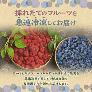 【2025年発送先行予約！】とかちしみずフルーツガーデンのハスカップ&ラズベリーセット【 計750g 詰め合わせ 果物 フランボワーズ 木苺 生 ハスカップ ラズベリー ハスカップ 果物 フルーツ ジャム 冷凍果物 ハスカップ 冷凍ハスカップ 冷凍 お取り寄せ 北海道 清水町  】_S009-0006