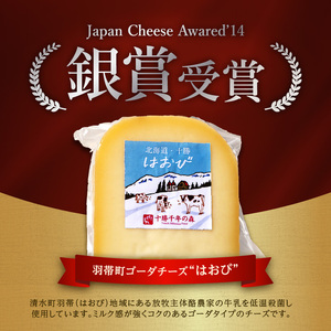 ナチュラルチーズセット 詰め合わせチーズ 北海道_S002-0002