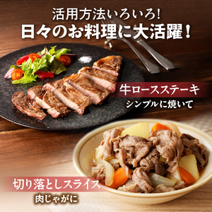 十勝若牛 満足 セット 【 ヘルシー 低カロリー 牛肉 肉 赤身 豊かな旨味 ロースステーキ 切り落としスライス ローストビーフ ハンバーグ 牛丼の具 牛肉サミット2012優勝 こだわり 贈り物 お取り寄せ ギフト お中元 お歳暮 のし 熨斗 北海道 清水町 】_S003-0016
