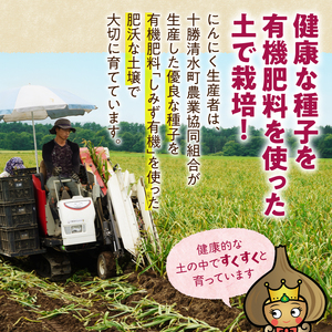 十勝熟成黒にんにく (6玉入)×1箱 _S021-0005