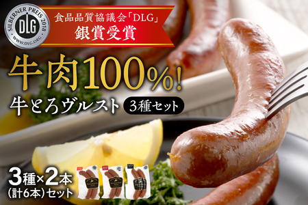 牛肉100%！熟練の職人技 牛とろ ヴルスト 3種 各2本 セット 【 ソーセージ プルーン なんばん トマト 手作り 十勝スロウフード お取り寄せ 北海道 清水町  】_S006-0006