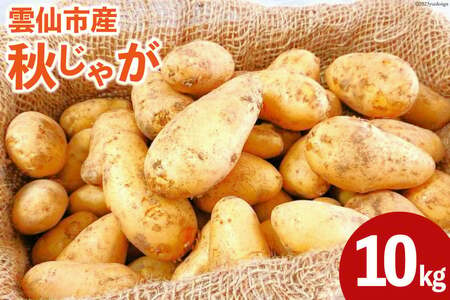 【期間限定発送】 じゃがいも 雲仙市産 秋じゃが 10kg［北串 秋・冬収穫じゃがいも各種］ [トトノウ 長崎県 雲仙市 item1418] ジャガイモ 秋じゃがいも 野菜 10キロ 期間限定 長崎県産