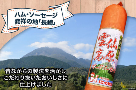 ソーセージ 雲仙高原 長ネギソーセージ 350g 2本 セット [長崎県農産品流通 長崎県 雲仙市 item1897] ボロニアソーセージ 雲仙 ハム