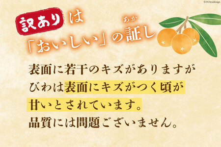 【期間限定発送】訳あり 長崎 びわ 温室ハウス栽培 長崎早生 500g [99アイランドファーム 長崎県 雲仙市 item1939] フルーツ 枇杷 ビワ 果物 化粧箱入り 季節限定