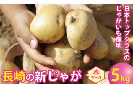 飛子の馬鈴薯5kg 春じゃが 長崎県雲仙市 ふるさと納税サイト ふるなび