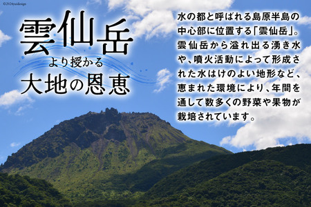 【12回毎月コース】旬の野菜・フルーツセット 野菜 定期便 【太陽卵6個付き】 13品目から15品目の豪華セット [長崎県農産品流通 長崎県 雲仙市 item1571] 野菜 定期 野菜セット フルーツ 果物 くだもの 卵 たまご