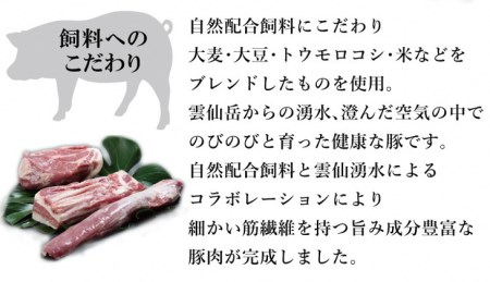 長崎県産 雲仙高原赤豚 ブロック肉3種 約1900g