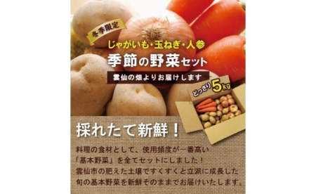 【期間限定発送】季節の野菜 セット 5kg 【じゃが・玉ねぎ・人参】 冬限定品 [長崎県農産品流通 長崎県 雲仙市 item1544] 野菜 詰め合わせ じゃがいも にんじん たまねぎ セット 5キロ 常備野菜 季節限定 冬限定 期間限定