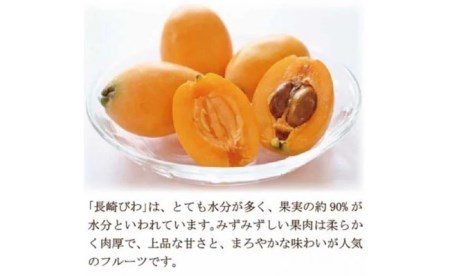 【期間限定発送】【数量限定】 長崎びわ 約 1kg [長崎県農産品流通 長崎県 雲仙市 item1562] ビワ 枇杷 果物 くだもの フルーツ 季節限定 期間限定