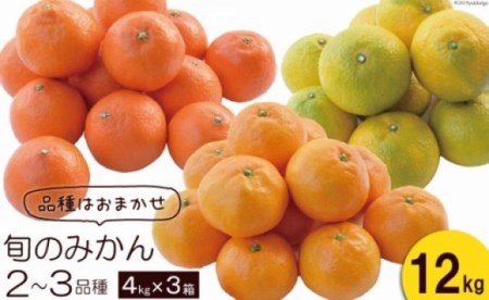 【期間限定発送】 みかん 季節のみかんセット 12kg（4kg×3箱） [森崎果樹園 長崎県 雲仙市 item1341] みかん 果物 くだもの ミカン セット 12キロ 期間限定