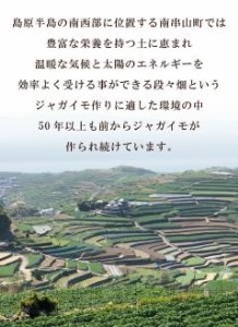 【期間限定発送】 じゃがいも なんぐしデジマ 秋作 10kg [なんぐしデジマプロジェクトチーム 長崎県 雲仙市 item1216] ジャガイモ 野菜 デジマ 10キロ 秋じゃが