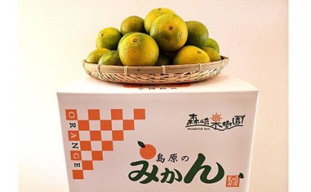 【期間限定発送】 みかん スイートスプリング 10kg 秀品 [森崎果樹園 長崎県 雲仙市 item1347] みかん 10kg 10キロ 果物 柑橘 期間限定