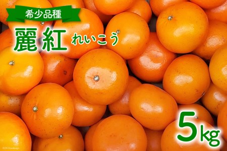 【期間限定発送】 みかん 希少品種『麗紅（れいこう）』5kg [森崎果樹園 長崎県 雲仙市 item1344] みかん 果物 5キロ 期間限定