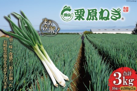 【まぁ立派!】雲仙栗原ねぎ 約300g(2本)×10束 計3kg<栗原ねぎ>【長崎県雲仙市】