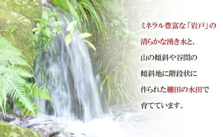 新米予約】 令和5年 長崎県産 なつほのか (精米) 2kg 数量限定 / 長崎