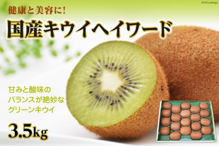 【期間限定発送】【健康と美容に！】国産 キウイフルーツ キウイ ヘイワード 3.5kg [長崎県農産品流通合同会社 長崎県 雲仙市 item2046] 果物 くだもの グリーンキウイ 3.5キロ 期間限定 数量限定