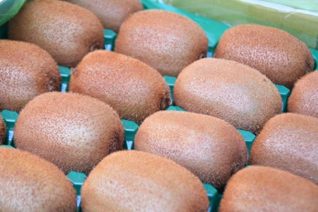 【期間限定発送】【健康と美容に！】国産 キウイフルーツ キウイ ヘイワード 3.5kg [長崎県農産品流通合同会社 長崎県 雲仙市 item2046] 果物 くだもの グリーンキウイ 3.5キロ 期間限定 数量限定