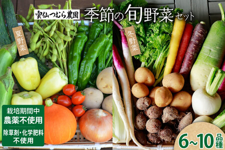 季節の旬野菜セット 6～10品種 詰め合わせ 産地直送 [雲仙つむら農園 長崎県 雲仙市 item1722] やさい 西洋野菜 根菜 季節野菜 食べ比べ