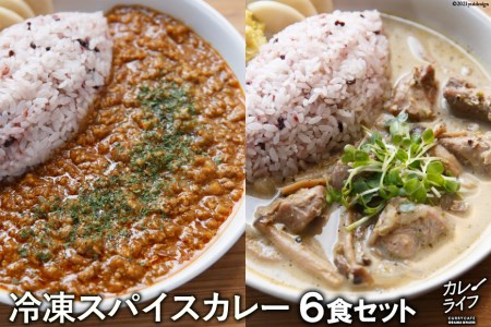 冷凍スパイスカレー6食セット＜カレーライフ＞【長崎県雲仙市】