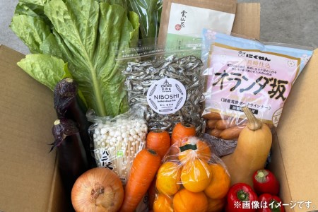 旬八青果店 おまかせBOX 旬野菜 + 地元 こだわり 加工品 詰合せ / アグリゲート / 長崎県 雲仙市