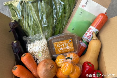 旬八青果店 おまかせBOX 旬野菜 + 地元 こだわり 加工品 詰合せ / アグリゲート / 長崎県 雲仙市