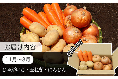 定期便 6回 常備野菜 セット 約5kg 詰め合わせ [吉岡青果 長崎県 雲仙市 item1299]  じゃがいも 玉ねぎ 人参 かぼちゃ