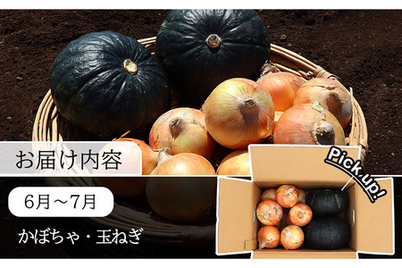 定期便 6回 常備野菜 セット 約5kg 詰め合わせ [吉岡青果 長崎県 雲仙市 item1299]  じゃがいも 玉ねぎ 人参 かぼちゃ