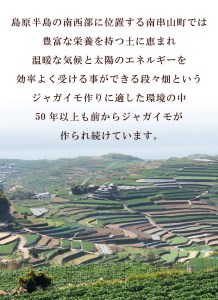 【期間限定発送】 じゃがいも なんぐしデジマ 秋作 5kg [なんぐしデジマプロジェクトチーム 長崎県 雲仙市 item1217] ジャガイモ 野菜 デジマ 5キロ 秋じゃが